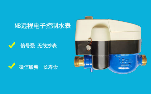NB远传水表哪个品牌质量好