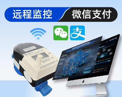 城区智能水表新旧小区管水能手