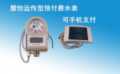 远传型预付费水表可以手机支付吗