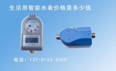 生活用智能水表价格多少钱一块
