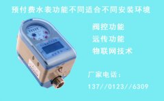 酒店式公寓用哪种预付费水表好呢